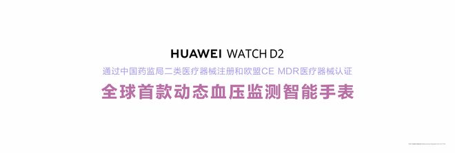 ：华为智能手表助你开启健康生活凯发k8国际登录年底送礼推荐(图2)